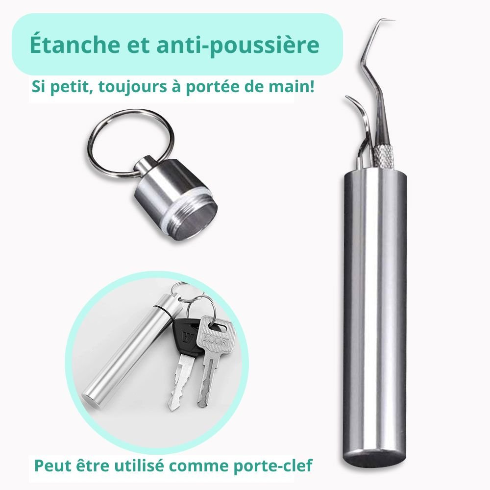 CleanSmile™ | Kit de Cure-dents et Soie Dentaire Réutilisables (Acier inoxydable) (Porte-clefs) - Zen Bella Vita