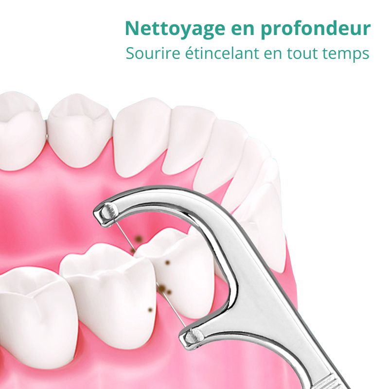 CleanSmile™ | Kit de Cure-dents et Soie Dentaire Réutilisables (Acier inoxydable) (Porte-clefs) - Zen Bella Vita